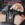 Adjustable Wristband Wrist Support Sports Brace Straps Weight Lifting Wraps Bandage Fitness Training Protective Gear Strap